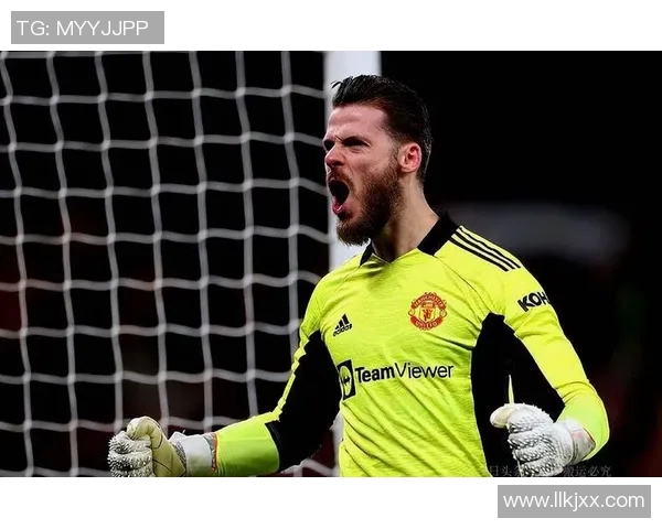 德赫亚：从青涩门将到世界足球明星的辉煌历程与传奇故事