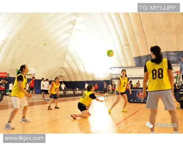 杭州排球队战术解析:从技术细节到团队协作的全面探讨