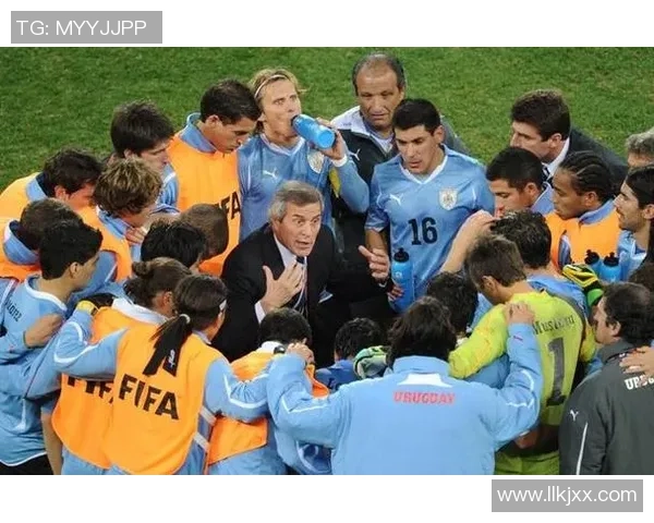 足球巨献：探秘上海足球队的团队协作